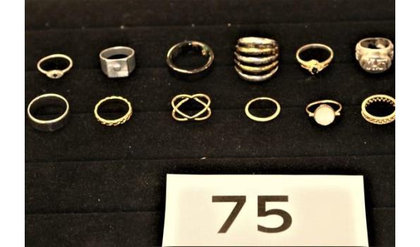 12 diverse ringen
